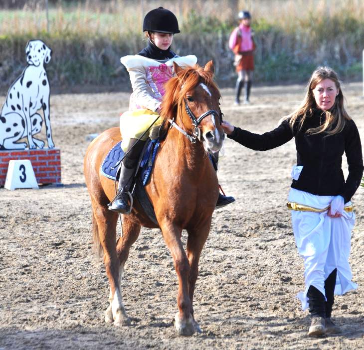 Corso di equitazione a Roma per bambini su pony