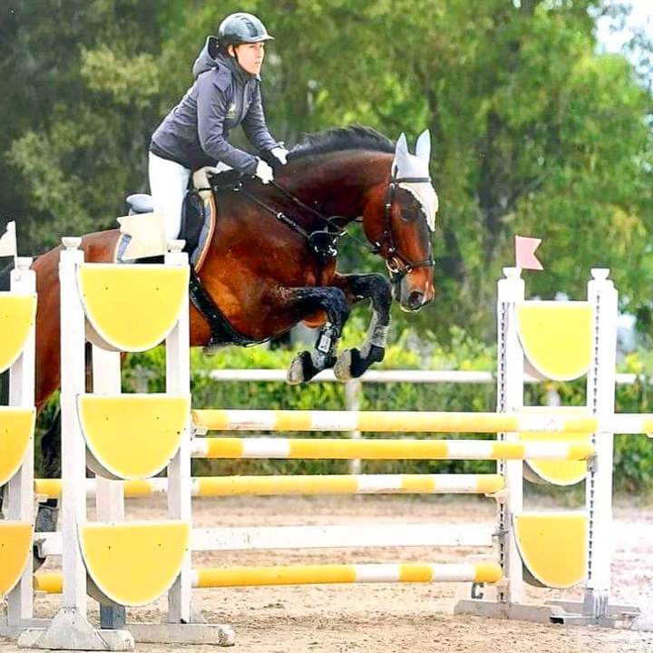 Concorso di equitazione salto ad ostacoli 2019 al maneggio Kappa Equestre di Roma