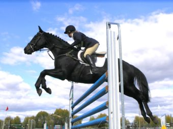 Calendario gare 2020 Equestre Kappa